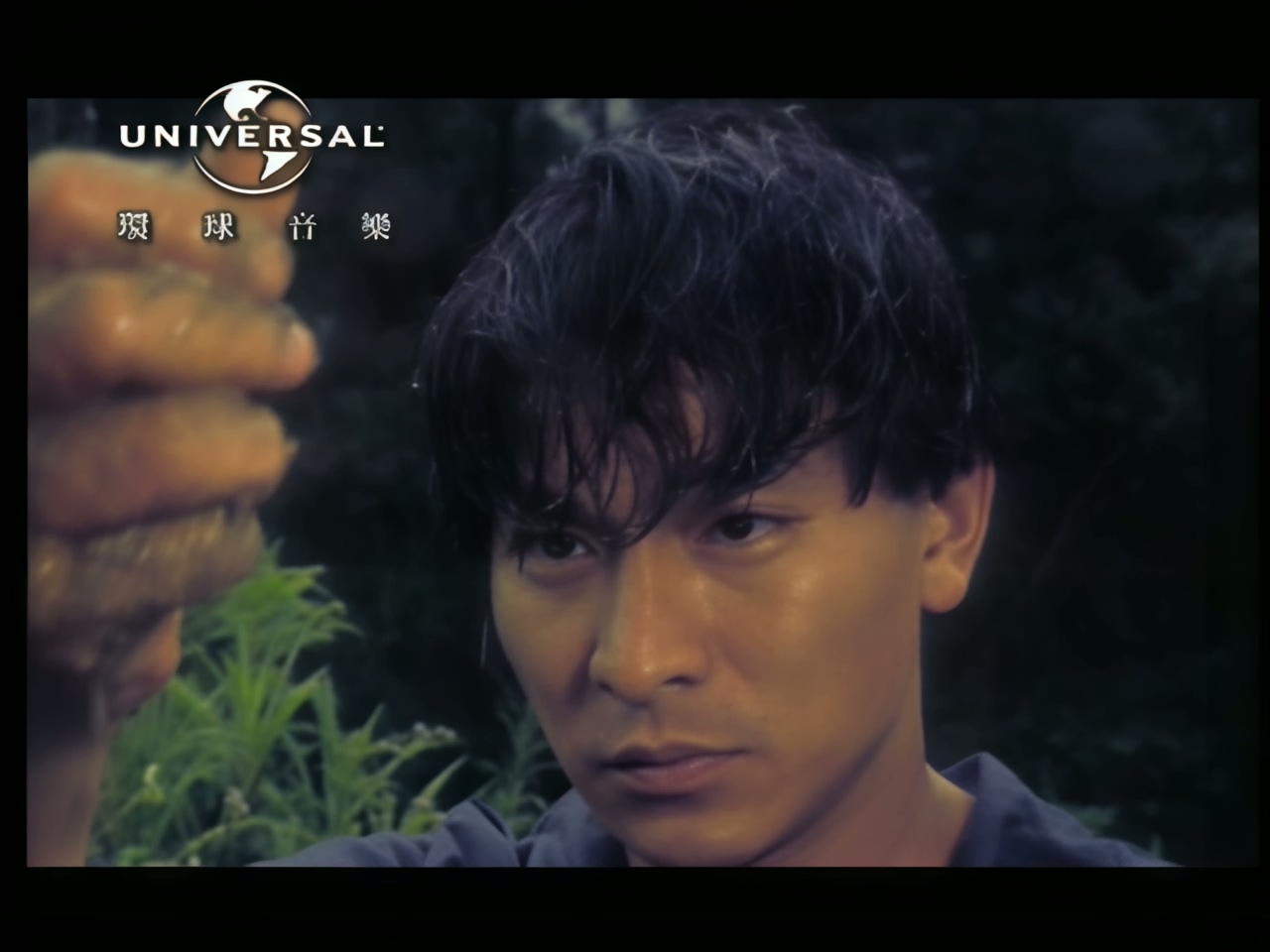 刘德华 - 情是那么笨 (1).jpg